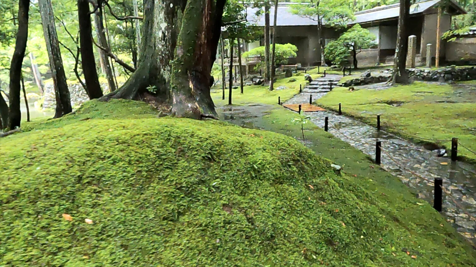 【京都観光】緑の世界！世界遺産・西芳寺（苔寺）の歴史と参拝申込方法 | フリーアトリエ晴星