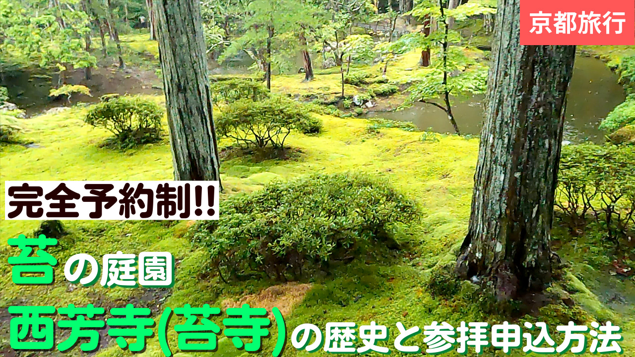 西芳寺・苔寺に関する記事のサムネイル